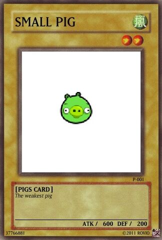 File:Small Pig.jpg