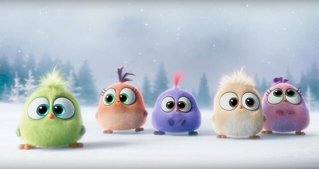 File:Hatchlings.jpg