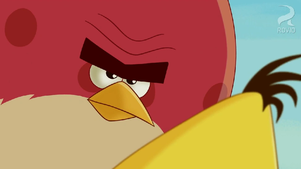 Беги чак беги. Angry birds toons чак. Злые птички (angry birds toons!) 2013. Беги чак беги. Чака ран чака ран танцует.