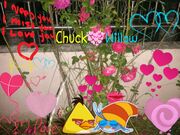 PicsArt 1433402519672