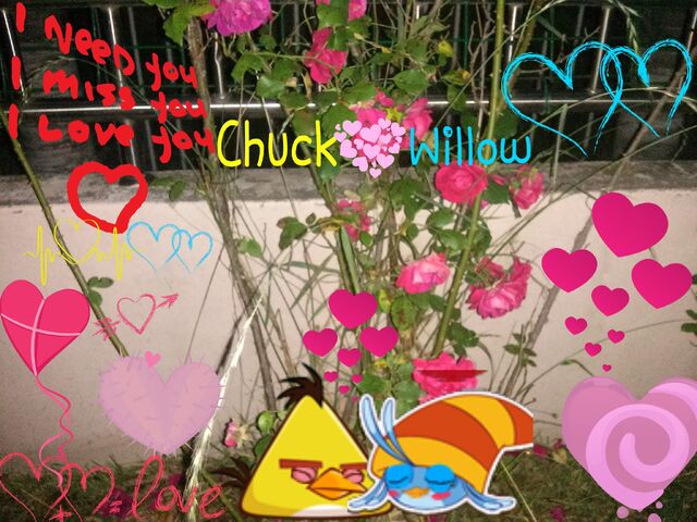 File:PicsArt 1433402519672.jpg