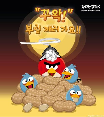 Plik:Angry-Birds-Jeongwol-Daeboreum-Teaser.jpg