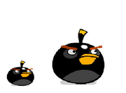 Comparrision of two Birds