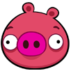 Crimson Pig