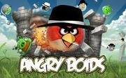 Angry boids