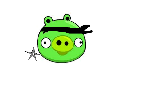 NInja pig