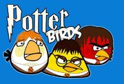 Potter birds