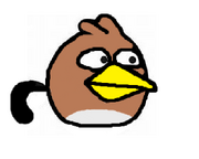 A bird