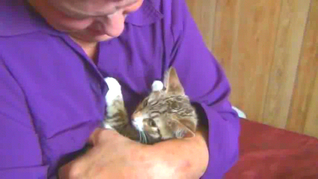 File:Vlcsnap-2013-09-05-22h42m08s56.png