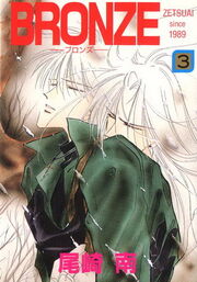 Bronze cover.jpg