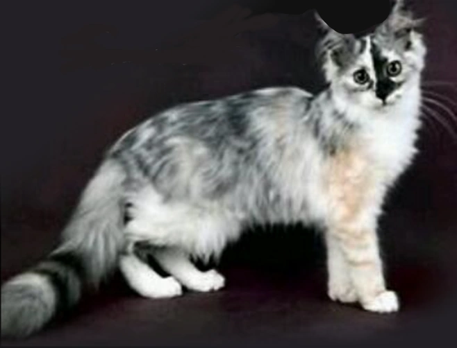 latest?cb=20160806224950