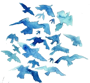 Resultado de imagen para blue birds png