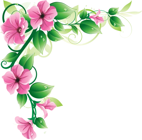 Image - Pink-flower-border.png | Animal Jam Clans Wiki | FANDOM powered