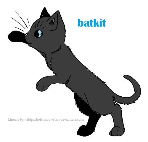 File:Skyclan warrior lineart by wildpathofshadowclan.png