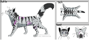 Featherstar banta