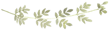 Branch dividerrr