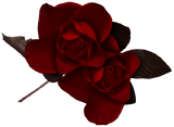 Rose2tsc