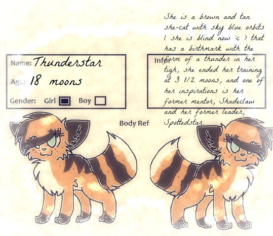 File:Thunderstar information.jpg