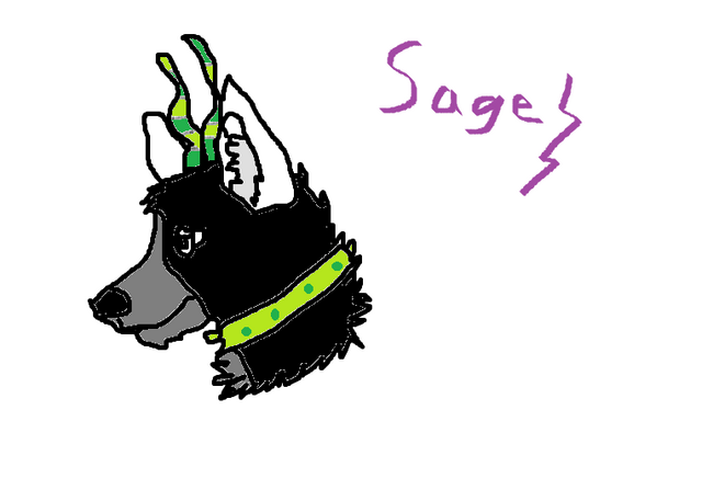 File:Sageheadshot.png