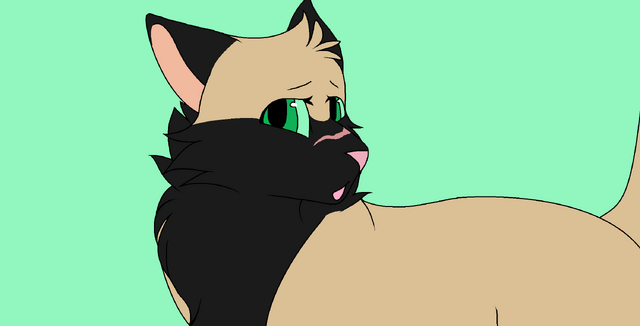 File:Partzz 1.png