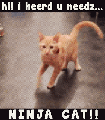 Image - Hi-i-heard-u-needz-ninja-cat-funny-cat-meme-gif ...