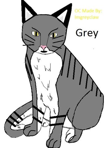 File:GreyClaw - Copy.jpg