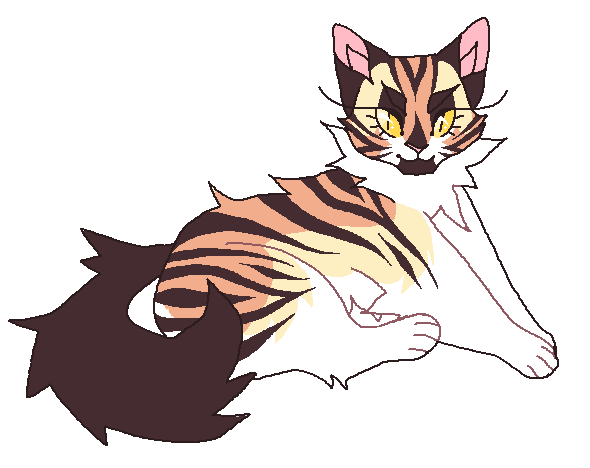 Good Nontraditional Clan Names Warrior Cats Good Nontraditional Clan Names Warrior Cats