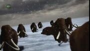 Woolly mammoth animal armageddon