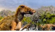Hadrosaurs