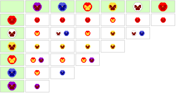 Violas híbridas.png