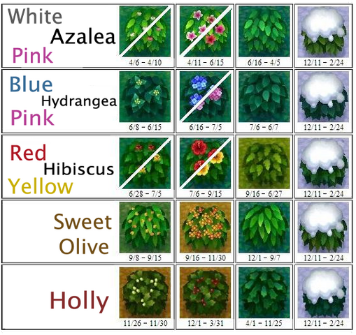 File:Bush chart.png