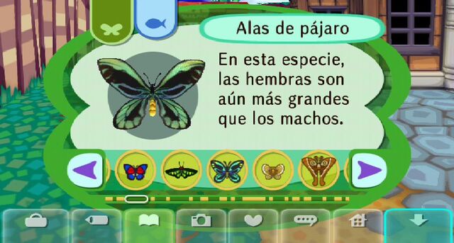 Archivo:Explicación Bicho.jpg
