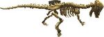 Dino 001.jpg