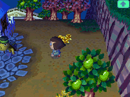 GoldenToolsWW