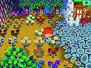 Fleurs ACWW.jpg