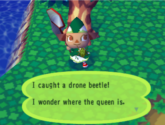 File:Drone Beetle.png