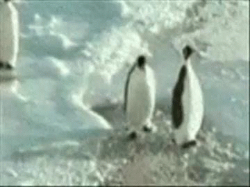 Penguin Hits Hard