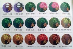 Tree guide