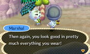 Marshal | Animal Crossing Wiki | FANDOM powered by Wikia
