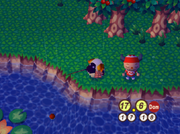 Vecinos pescando