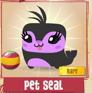 Pet Seal | Animal Jam Wiki | FANDOM powered by Wikia