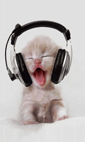 File:HEY! THESE ARE MY HEADPHONES!! kitty.jpg