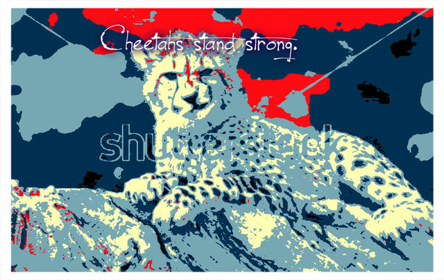 File:Cheetah movement.jpg