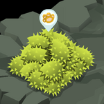 The-Hive Boomseed-Pile