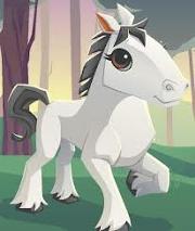 File:Horses.jpeg