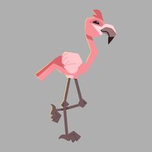 Flamingoo