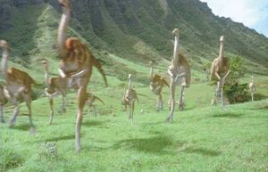 Gallimimus