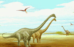 Alamosaurus