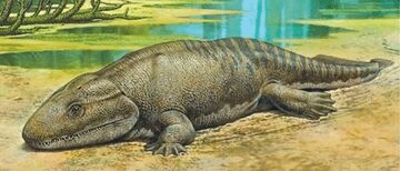 Ichthyostega