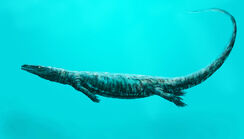Aigialosaurus